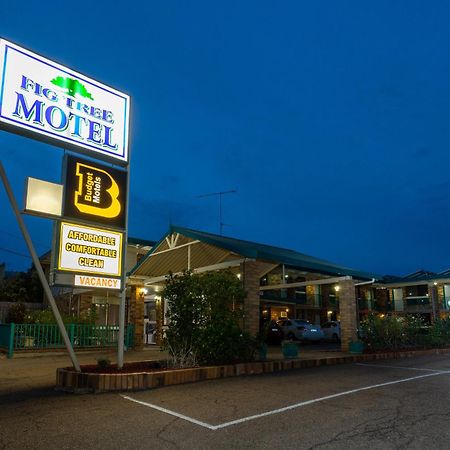 Fig Tree Motel Narrandera Zewnętrze zdjęcie